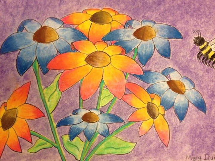 How to draw a bird? I actually wrote a guide on this to help! students' gallery, examples of art work by students