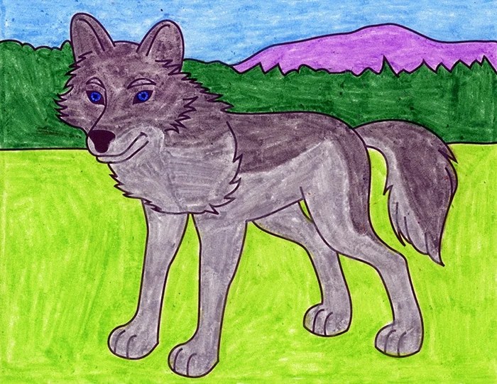 Search more high quality free transparent png images on pngkey.com and share it with your . Easy How To Draw A Wolf Tutorial And Wolf Coloring Page Art Projects For Kids