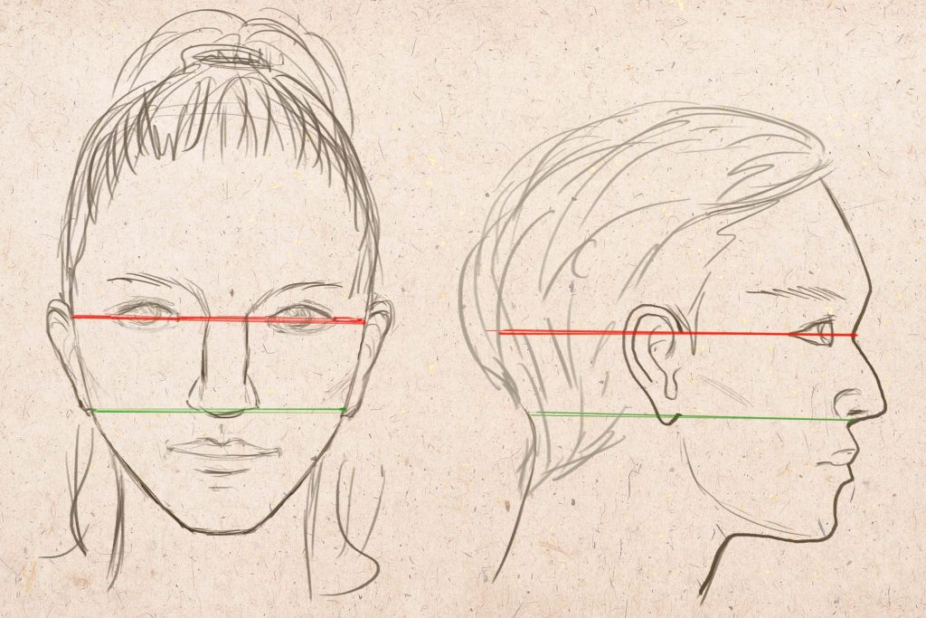 как рисовать уши человека