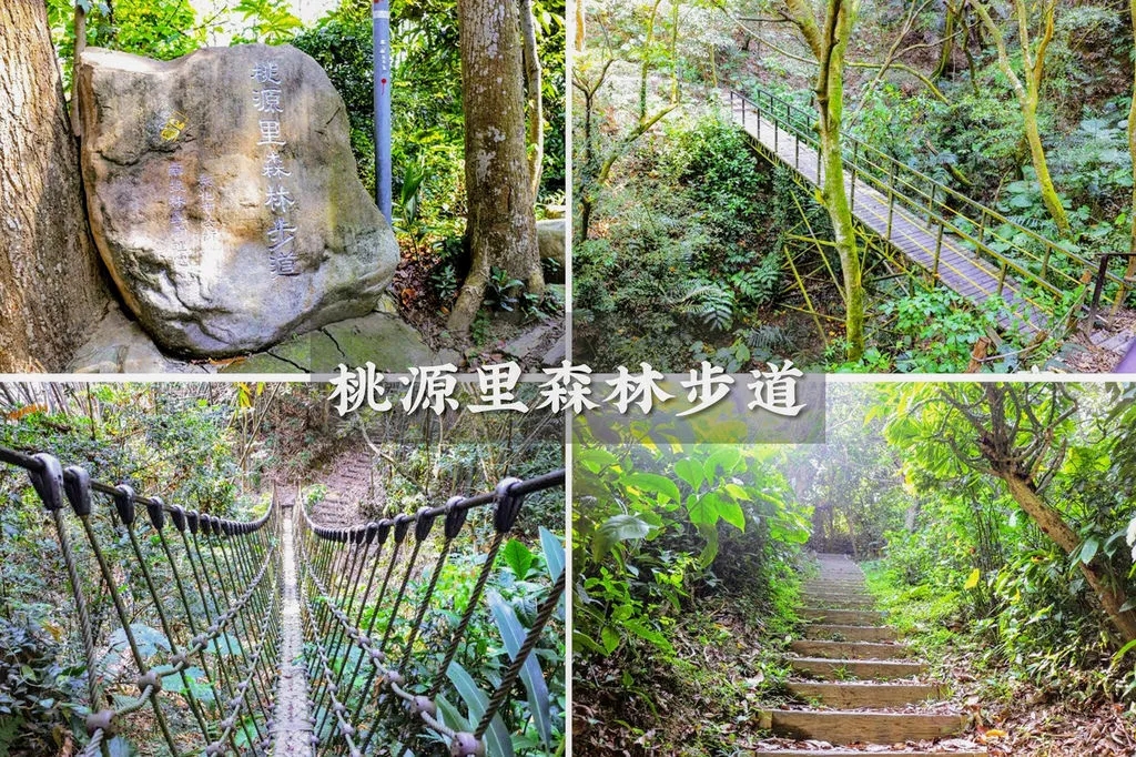 彰化步道【桃源里森林步道】三清宮森林步道、龍鳳谷森林步道、歡喜生態園、東山學苑、吊索橋
