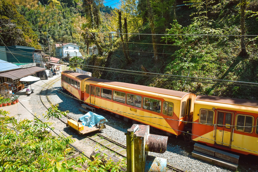 阿里山景點【十字路車站】海拔1534公尺阿里山林業鐵路車站 | 戀念1534小食堂、檸檬黑糖愛玉
