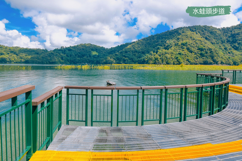 日月潭水蛙頭步道：一窺湖光山色與九蛙的生態奧秘