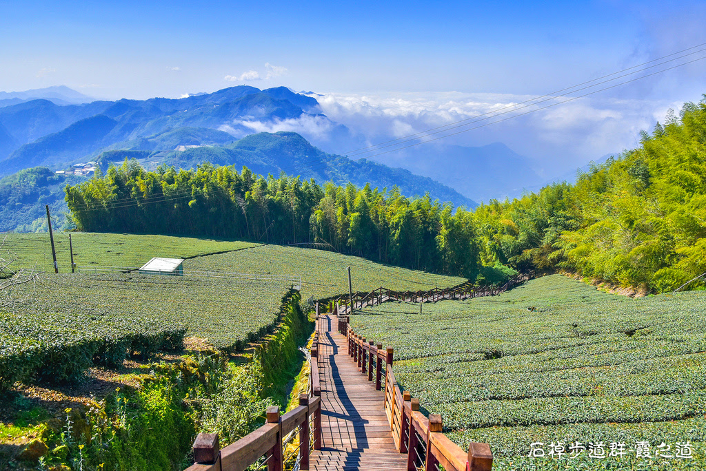 嘉義竹崎【石棹步道群霞之道】山坡茶園、綿延山巒、有機會賞雲海