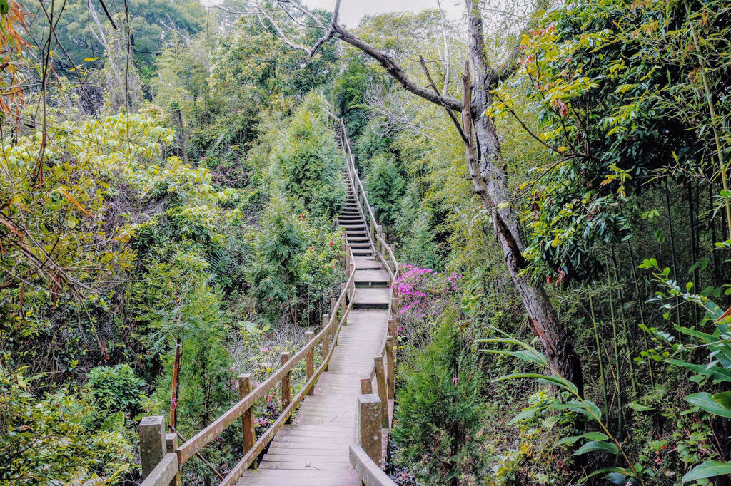 台中潭子【新田登山步道】聚興山-台灣小百岳40號