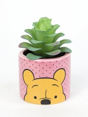 Do you love succulents, but can't seem to take care of them? Disney Winnie The Pooh Artificial Succulent 13cm Home George At Asda