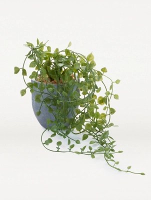 The world's top hikes, climbs, and rides await. Artificial Trailing Plant In Grey Pot 20cm Home George At Asda