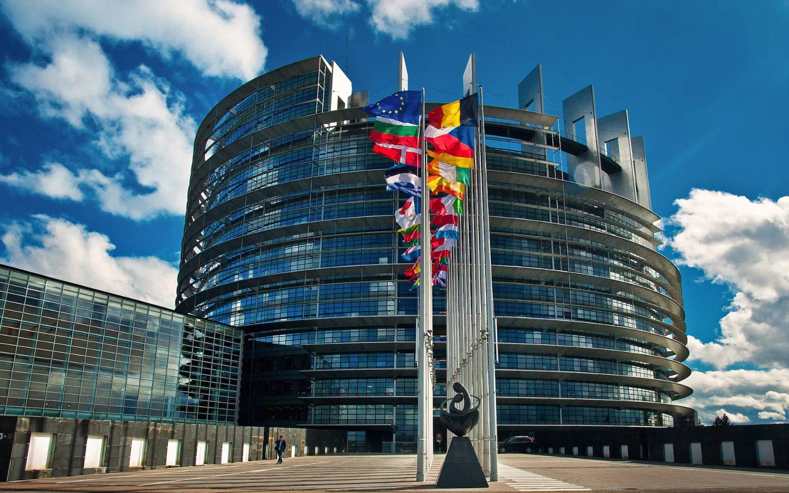 Factorii de decizie europeni trebuie să conștientizeze potențialul celui mai pozitiv sector de producție din UE – INDUSTRIA LEMNULUI