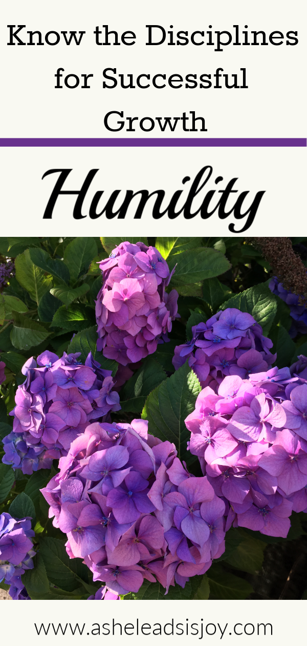 Know the Disciplines for Successful Growth - Humility โ As He Leads is Joy