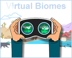 How are temperate forests and tropical . Biomes Of The World Ask A Biologist