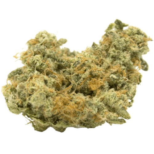 Amber trichomes and hairs cement these buds together, making it a bit difficult to break apart by hand. Horchata Strain Information Askgrowers