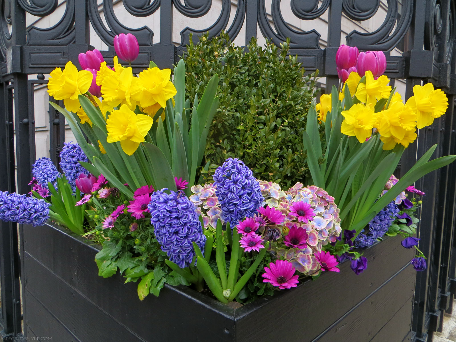 A walk in Upper West Side, New York City