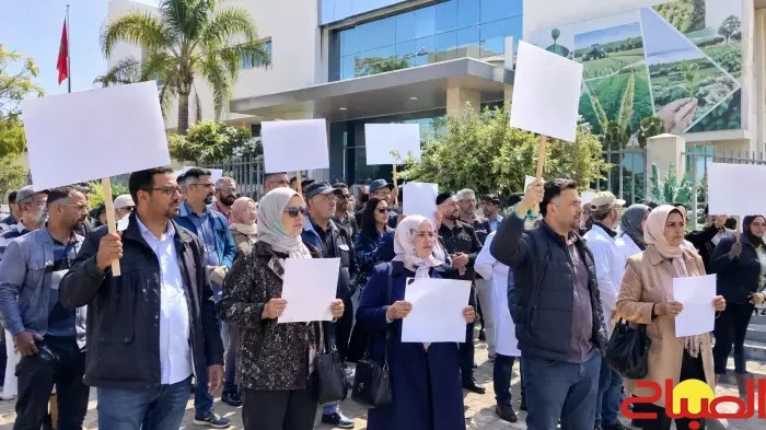 نقابة الاستشارة الفلاحية تصعد ضد المديرية الجهوية بالبيضاء-سطات