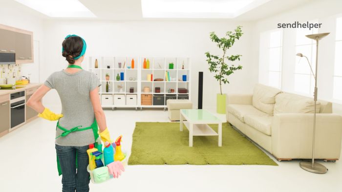 Move out cleaning 一畝