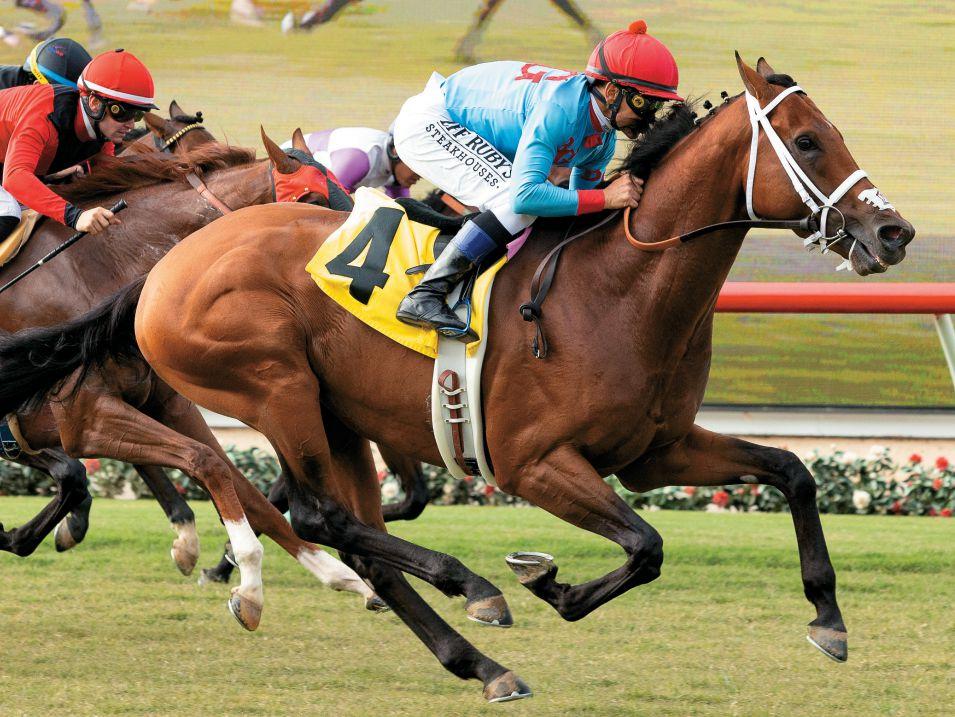 Her first book, ghost season: California Thoroughbred 2022 Stallion Directory By Ctba Issuu