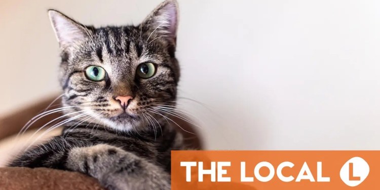 A roundup of the latest news on Wednesday