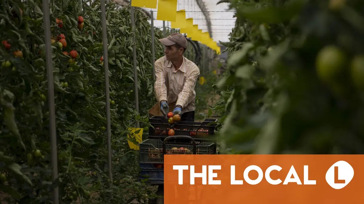 Spain hires 25 percent more seasonal workers