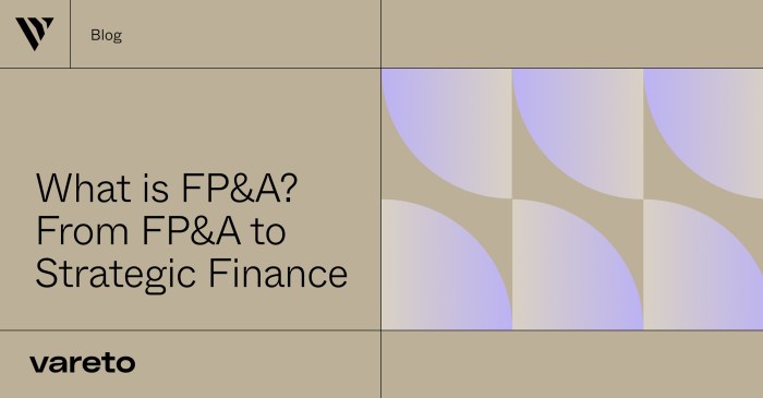 What does fp&a stand for in finance