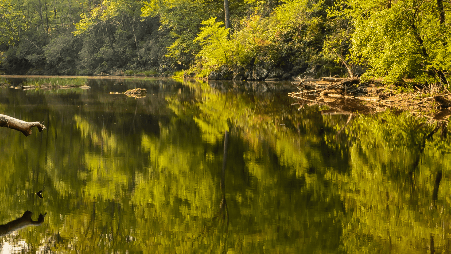 NC teen critically ill with amoeba found in warm, fresh water