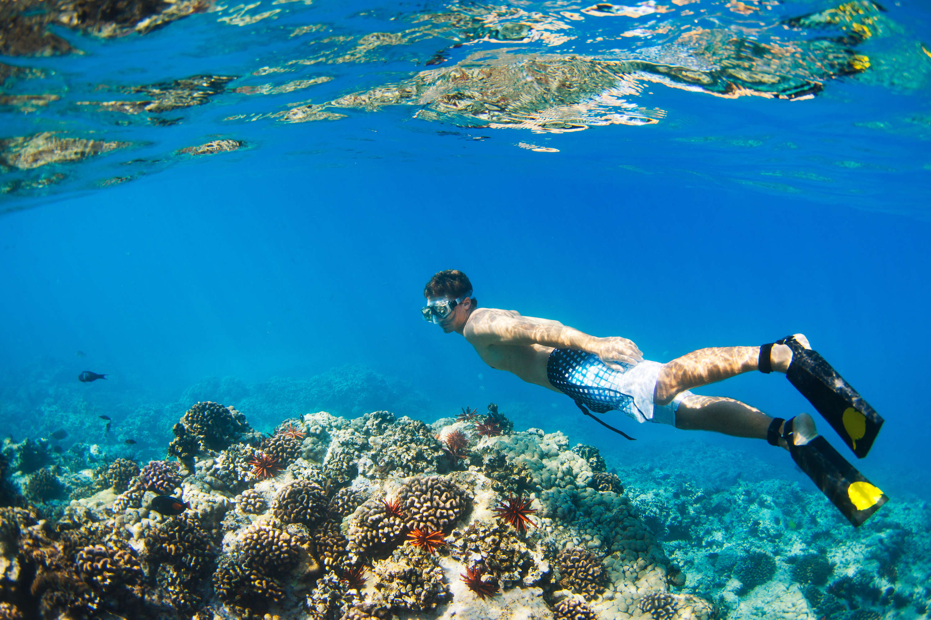 · click on each location . Best Snorkeling On Oahu Places To Snorkel Near Honolulu Thrillist