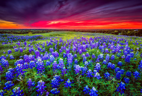 Sendera springs a texas hill country wedding & event venue for one of the most magical and memorable days of your life. Best Places to Visit in the US in Spring: Texas