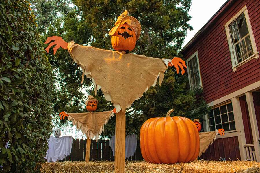 Halloween party with kiss & lady gaga tributes. Best Halloween Events In San Francisco 2021 Thrillist