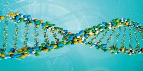 Check out these unique genetic mutations in humans. What Is Genetics Assignment Point