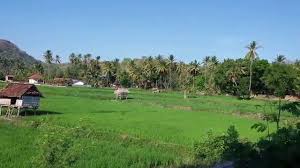 Panungtung ahir padalisan dina sajak di luhur ngabogaan. Sajak Lemah Cai Asti Siti Mariam