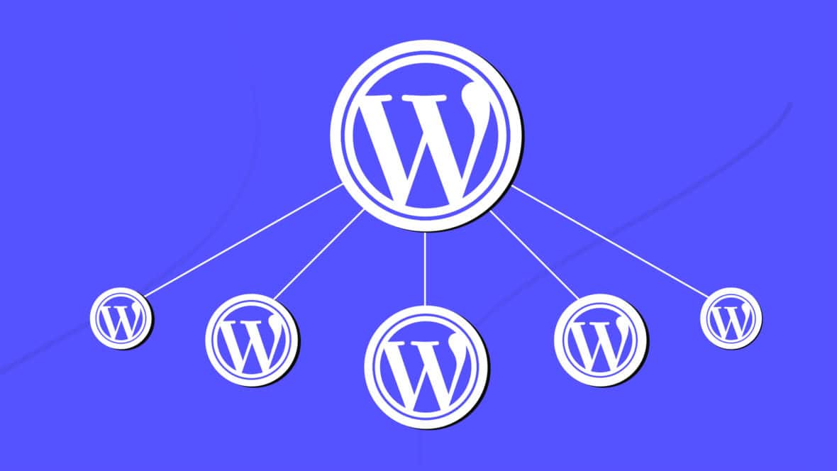 Choose a theme · 5. How To Install And Set Up A Wordpress Multisite Network In 6 Steps Athemes