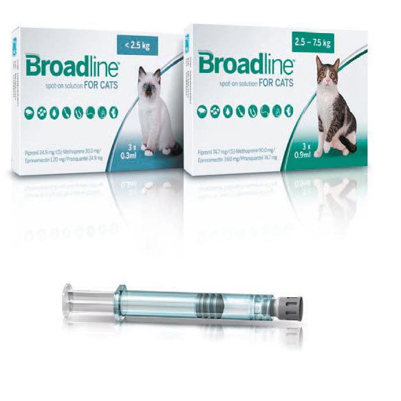 broadline flea