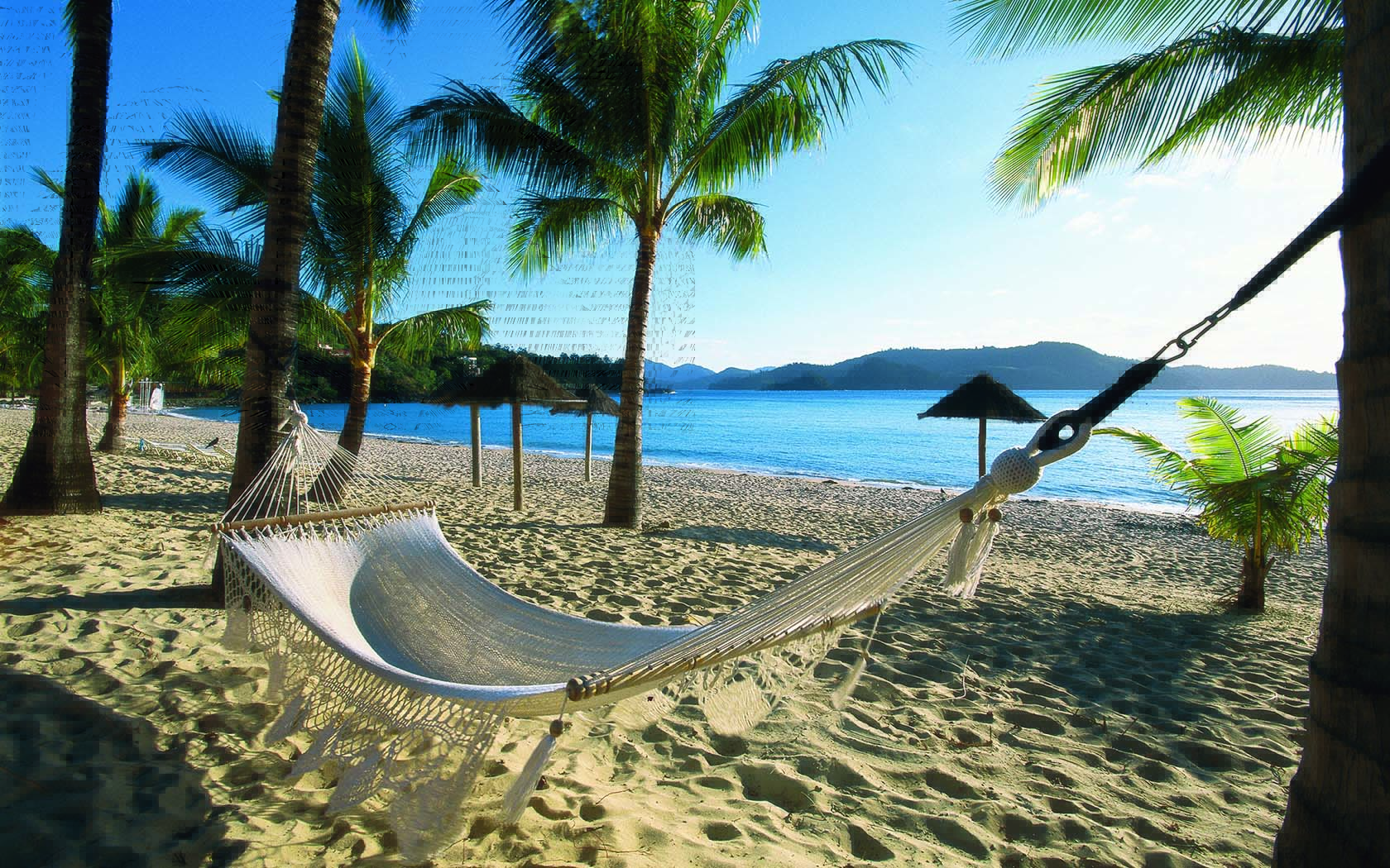 About 30 miles up the coast from atlantic city, long beach island is a narrow strip of sand just two blocks wide and 20 miles long that's linked to. The 5 Most Instagrammable Spots On Hamilton Island Revealed