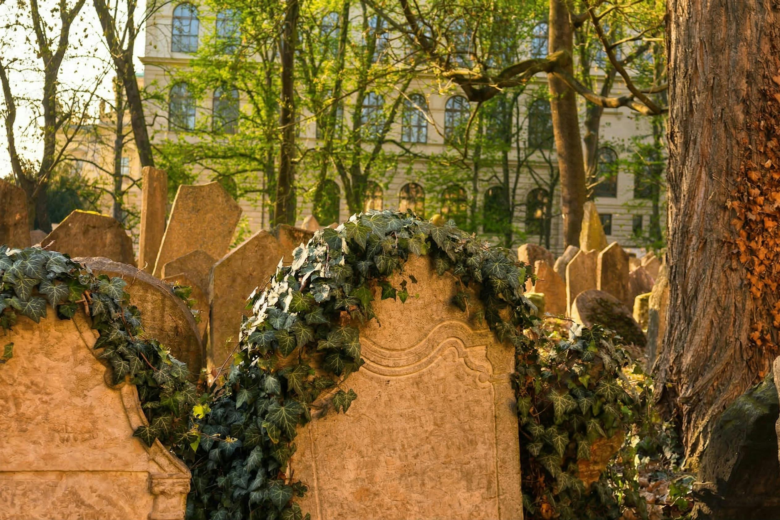 Ancient gravestones covered with ivy in a cemetery surrounded by trees, with a historic building visible in the background.