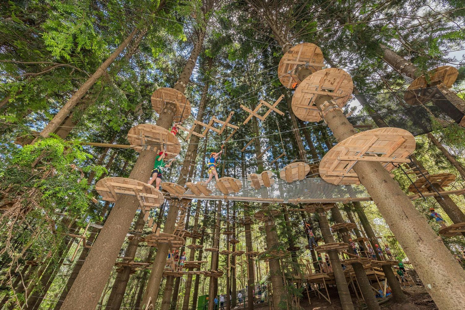Treetops Adventure - The Hills: Entry Ticket