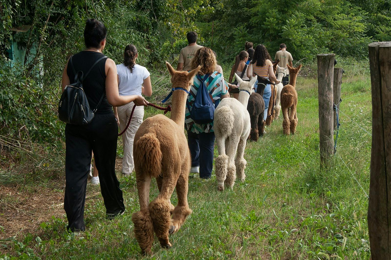 Turin Wildlife Watching: Guided Walking Tour