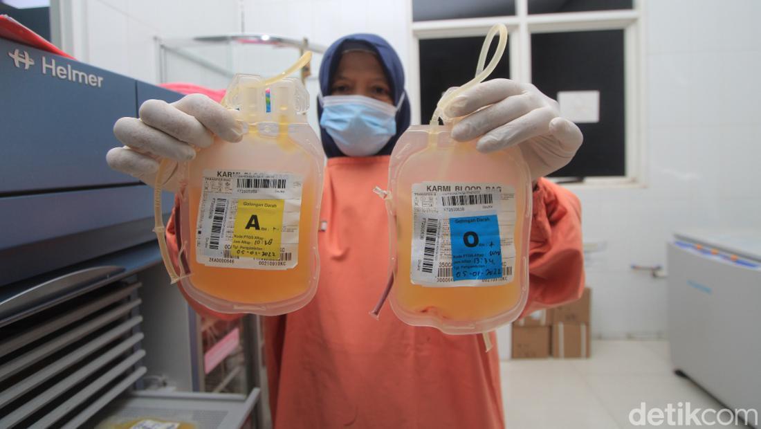 Penyebab Trombosit Tinggi, Gejala, dan Cara Mengobatinya