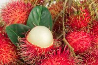 Bule Ini Dikritik Netizen Karena Buka Rambutan Pakai Pengupas Kentang