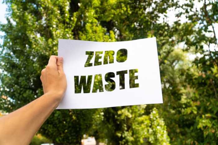 Unveiling the Secrets: A Comprehensive Guide to Achieving Zero Waste
