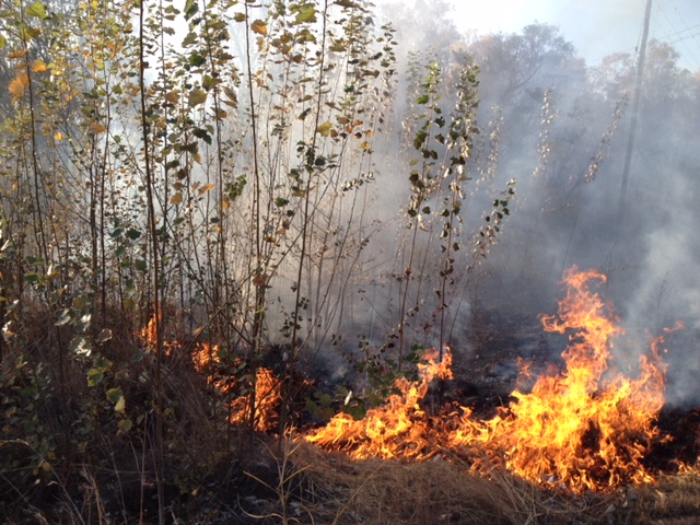 Learn the top fire safety tips. Gallery Strydfontein Farm B3 Genetics