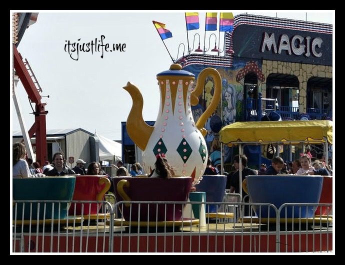 Teapots, Racing Pigs, Peanuts and Swimming Pigs It's Just Life