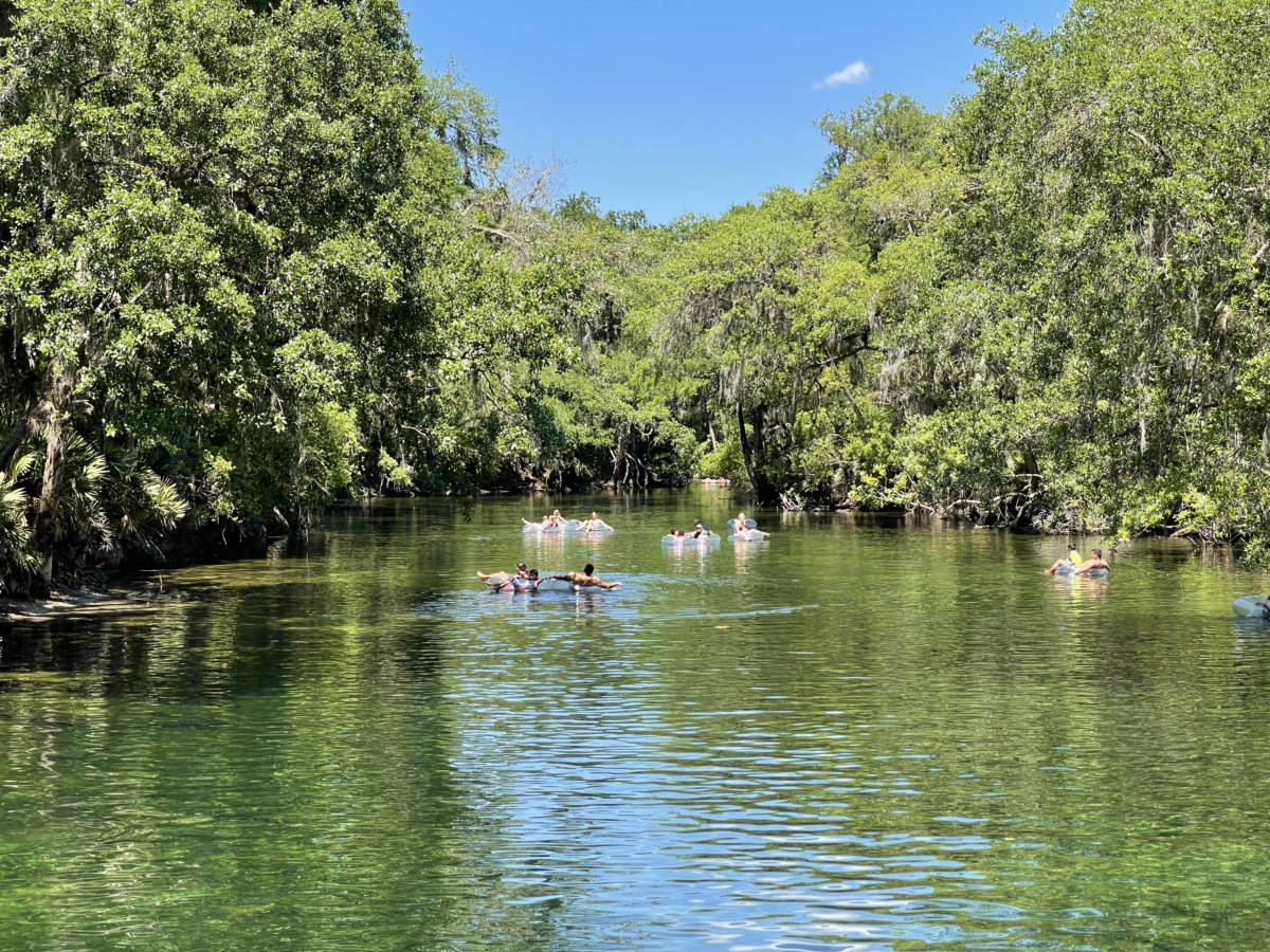 Discover Florida's Blue Spring State Park & Campground