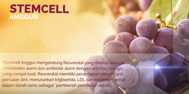 stemcell