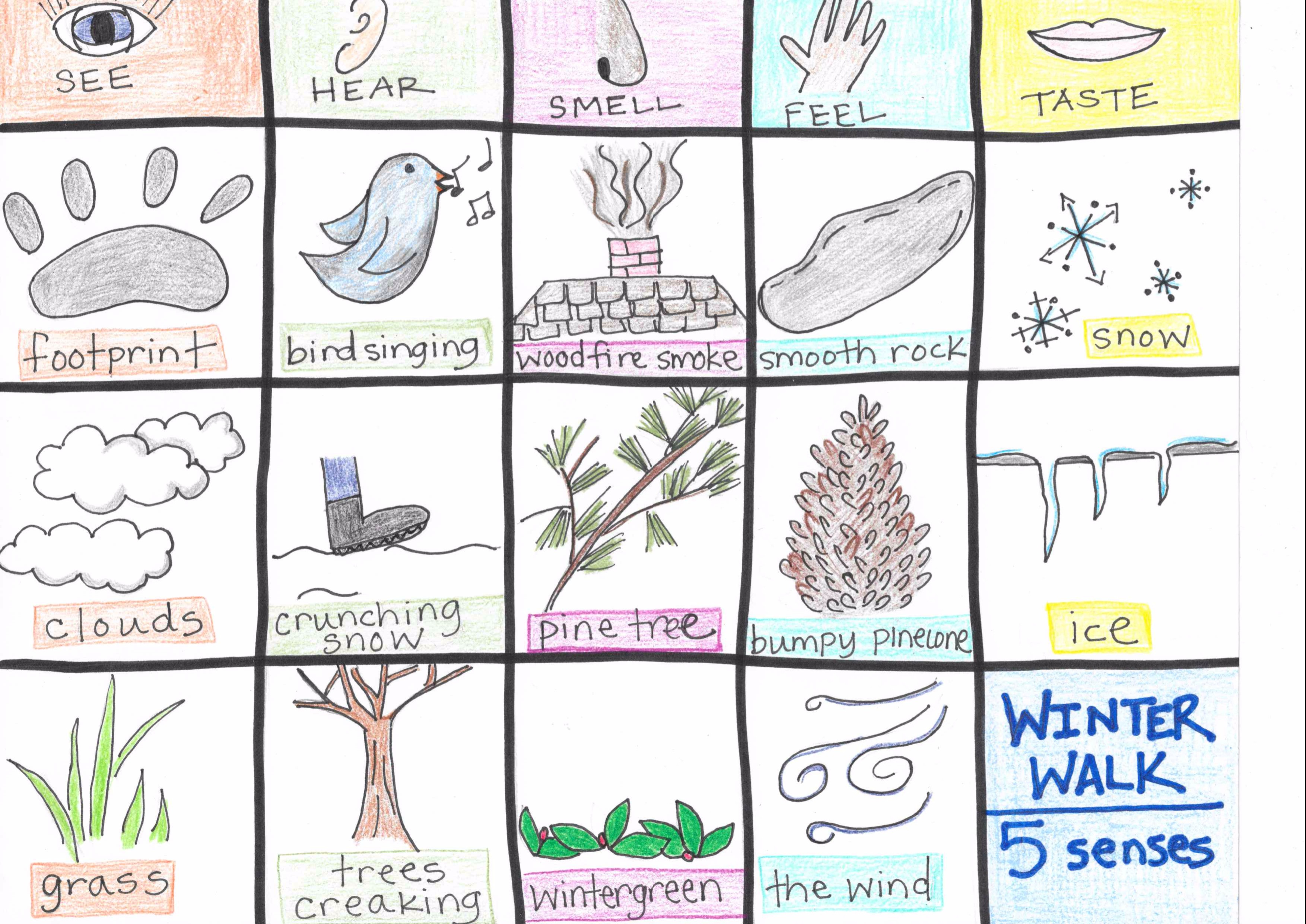Defeat the winter doldrums and involve all five senses in this fun winter writing activity for preschoolers, kindergarten and elementary age students. Winter Nature Walk The 5 Senses Free Printable Backyard Learning