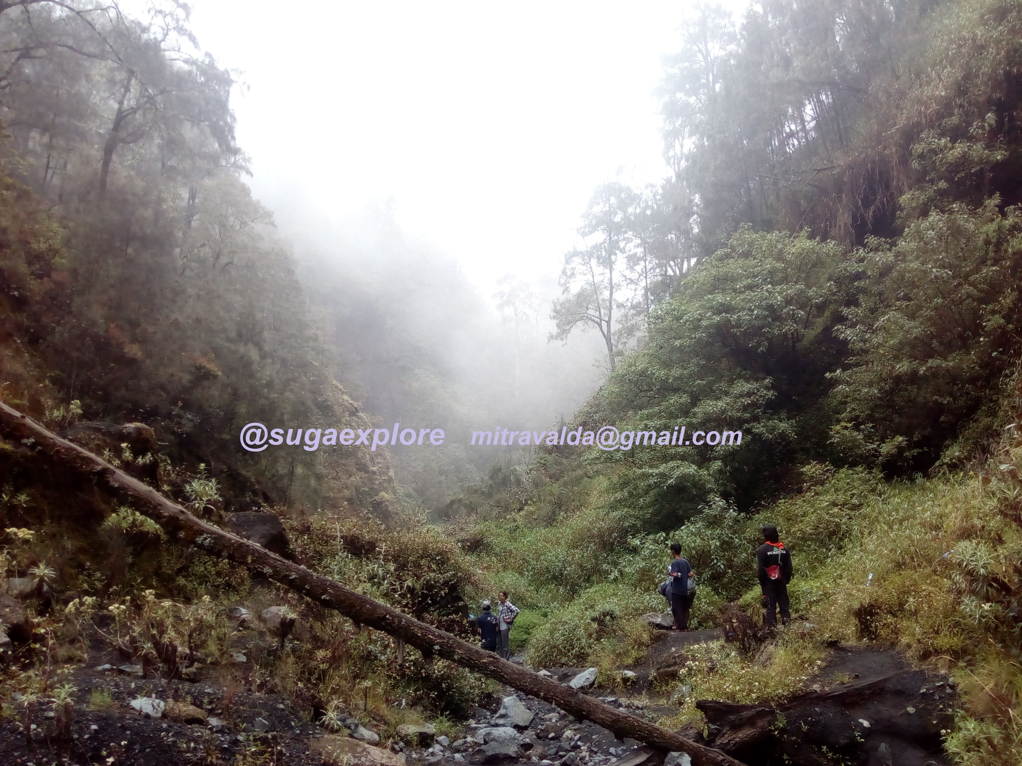 sumber air di lembahan