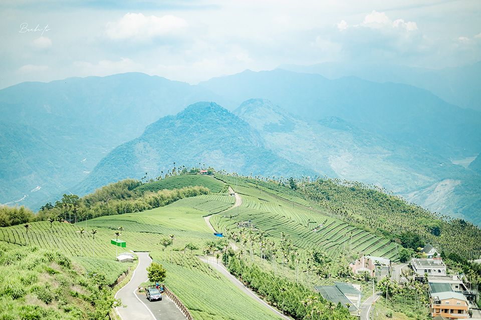 嘉義碧湖山觀光茶園：高山環繞的美景聖地，看阿里山日出、雲海、星空、梯田