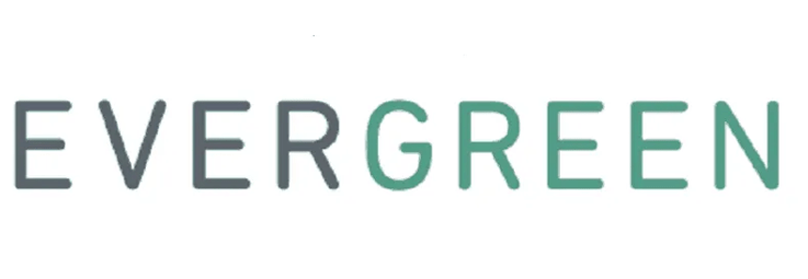 Interview Mit Evergreen Robo Advisory Markt 2020 Bankinghub
