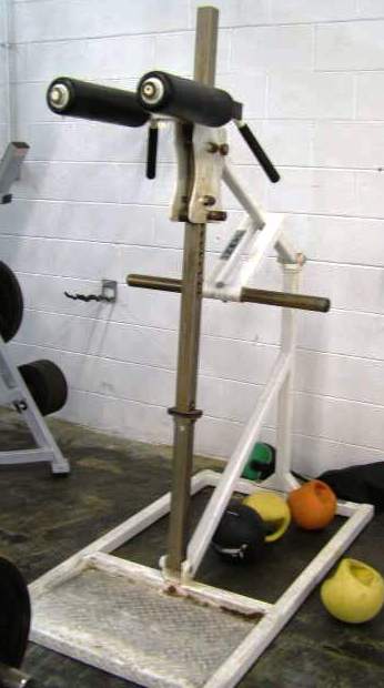 24+ New Overhead Bench Squat - Incline cable triceps extension exercise instructions and : Glutes, quadriceps, hamstrings, core, shoulders, upper back.