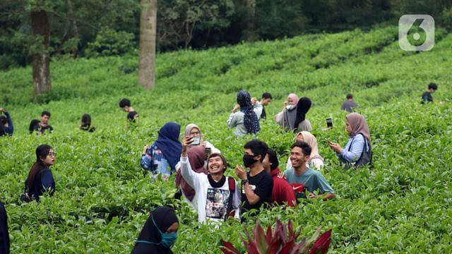Cerita Pangalaman Karangan Liburan Sakola Ka Puncak Bogor! | Basa Sunda