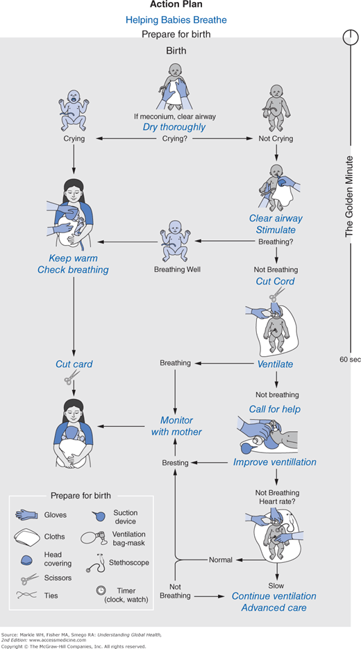 The Health of Women/Mothers and Children | Basicmedical Key