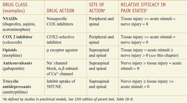 Opioids, Analgesia, and Pain Management Basicmedical Key