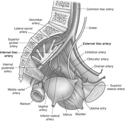 Cesarean Delivery | Basicmedical Key