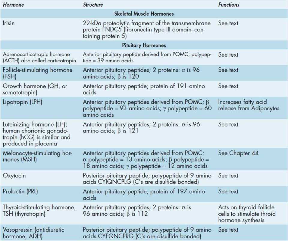 49 Peptide Hormones Basicmedical Key